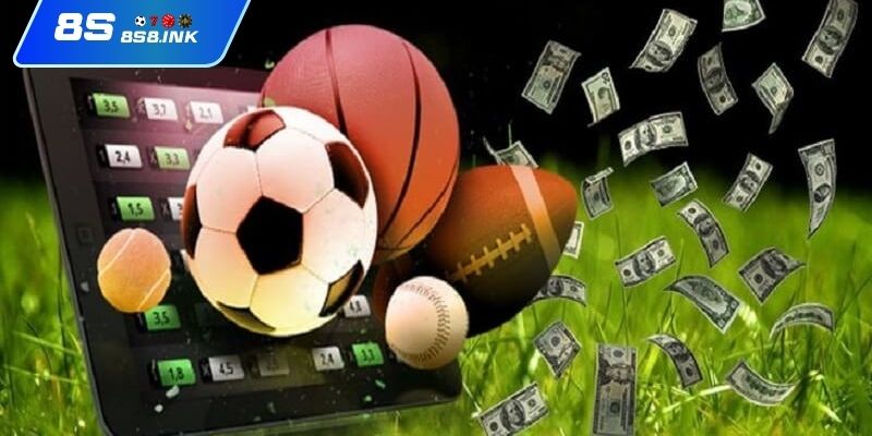 Giới thiệu thể thao 8S đầy năng lượng